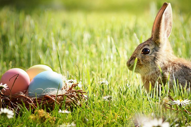 Quoi faire ce weekend de Pâques en Estrie ?